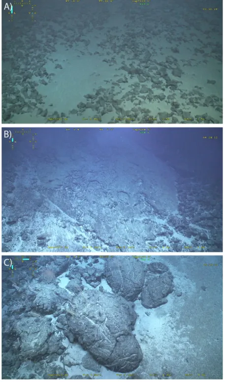 Figure 5. ROV video captures from chaotic terrain seaﬂoor. (A) Rubble and sediment along slope facing away from the ridge axis (ﬁeld of view 15 m across, dive 446, 13830 0 N OCC)