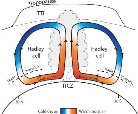 Figure 1: Schematic of the Hadley circulation. Abbreviations: TTL – Tropical tropopause layer, ITCZ –  Intertropical convergence zone