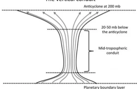 Figure 10: The vertical conduit of boundary layer air masses to the Asian monsoon anticyclone (after  Bergman et al., 2013).