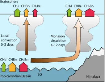 Figure 8. Schematic illustration of emission, transport pathways and timescales, and entrainment of CH 3 I, CHBr 3 , and CH 2 Br 2 tracer from the tropical west Indian Ocean to the stratosphere during the Asian summer monsoon.