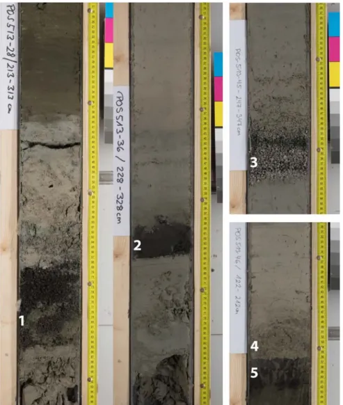 Fig. 14: Core photographs from sites 28 (left) and 36 (center) each showing a mafic tephra layer at  about 3 m below seafloor (nos
