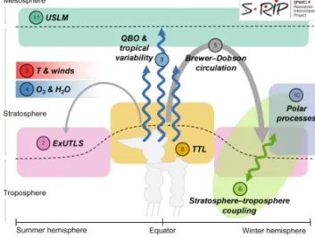 Figure 1 shows a schematic illustration of the atmosphere highlighting the processes and themes covered by the  S-RIP