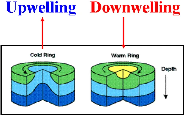 Fig. 1: Display of an upwelling and downwelling eddy in the northern hemisphere. [3]