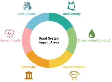 Table 2: Main impact areas of the food system 