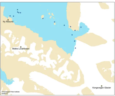 Figure 1   Surface fjord sample locations in Kongsfjorden.