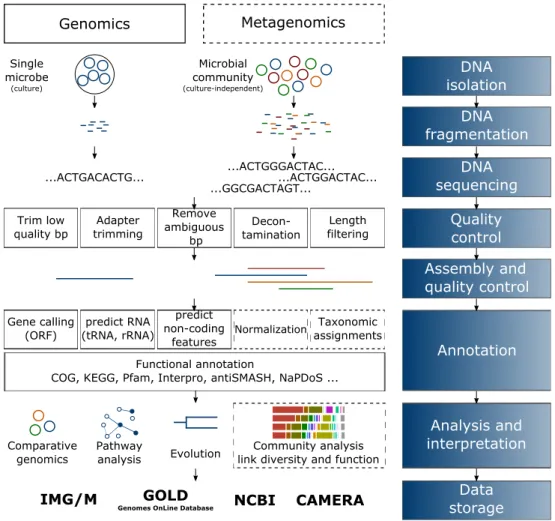 Figure 5. – Simplified flowchart of genomic (left) and metagenomic (right) projects from sampling to storage