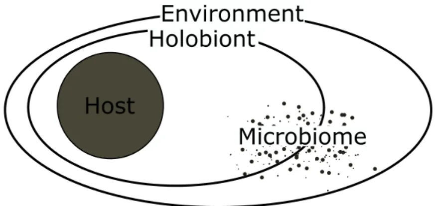 Figure 7. – The holobiont concept describing the asociation between a host and its micro- micro-biome in a defined environment.