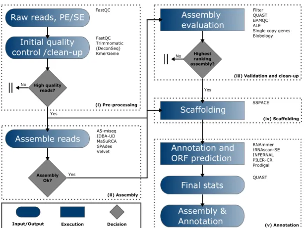 Figure 8. – Assembly flowchart for prokaryotic genomes. The first stage (i) of the pipeline checks the quality of incoming reads, performs quality trimming, removes contaminant reads and calculates a expected genome size