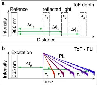 Figure  3.9.  Scheme  describing  optical  ToF measurements.  (a)  The  estimation  of  distance  x  by  the  measured phase shift Δϕ