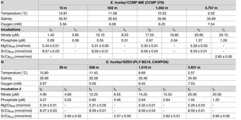 Table 1. Physico-chemical conditions of the seawater. Seawater was collected at the chlorophyll maximum (10 and 38 m respectively for I1 and I2); at 502 m (I1) and 508 m (I2); at 1,002 m (I1) and 1,010 m (I2); and at 4,757 m (I1) and 4,831 m (I2) for shipb
