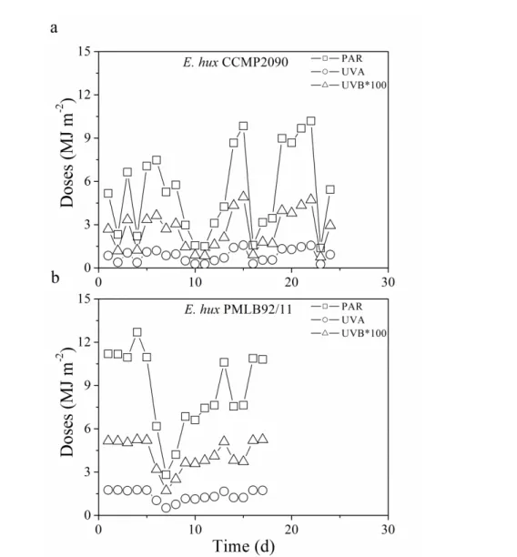 Fig. S1: Daily doses photosynthetic active radiation (PAR), ultraviolet-A (UVA) and ultraviolet-B (UVB) (MJ  m -2 ) of Emiliania huxleyi CCMP 2090 (non-calcifying) (a) and Emiliania huxleyi PML B92/11 (calcifying) (b)  during outside incubations