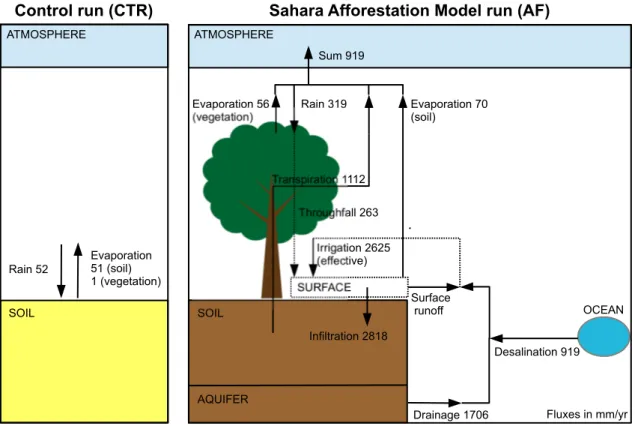 Fig. 2.4 Sahara water budget for the CLM of the control run (CTR) (left) and the afforested irrigated Sahara (AF)  (right) as a 30-year annual average