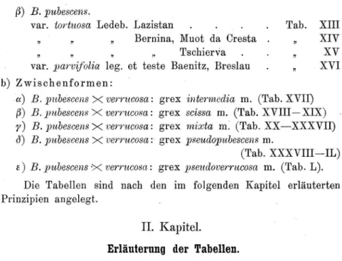 Tab.  XIII  XIV  XV  XVI  a)  B.  pubescens  X  verrucosa:  grex  intermedia  m.  (Tab