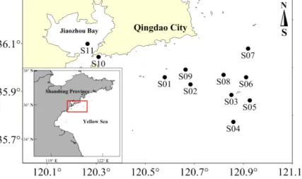 Figure 2. Locations of the sampling stations in the coastal waters off Qingdao and Jiaozhou Bay.