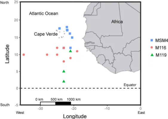 Fig 1. Capture locations of all Sthenoteuthis pteropus samples in the tropical eastern Atlantic in 2015 from three research cruises (MSM49, M116, M119).