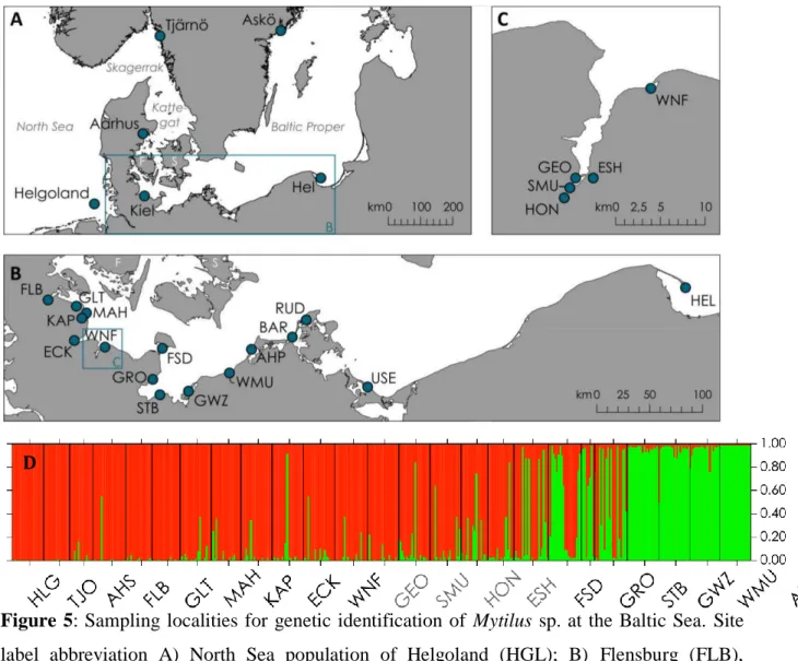 Figure  5:  Sampling  localities  for  genetic  identification  of  Mytilus  sp. at the  Baltic  Sea
