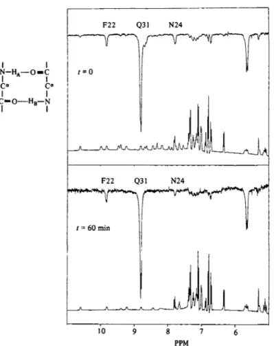 Fig. 5. Upper part: 360 MHz NOE differences spectrum (4000 scans) of a 20 min solution of the basic pancreatic trypsin inhibitor in  2 H 2 O at p 2 H 46, 24 °C.