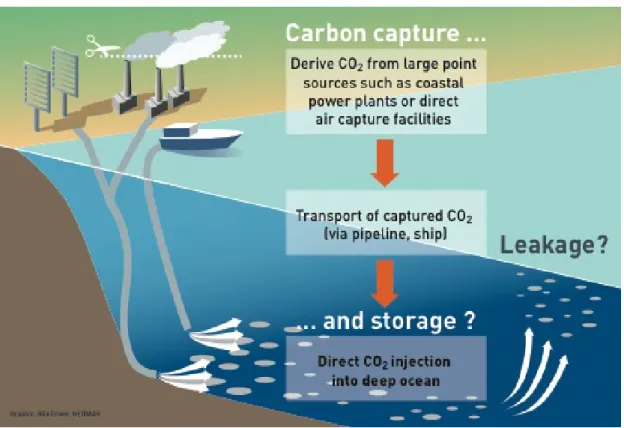 Figure 1.2: Schematic diagram of direct CO 2  injections into the deep ocean.