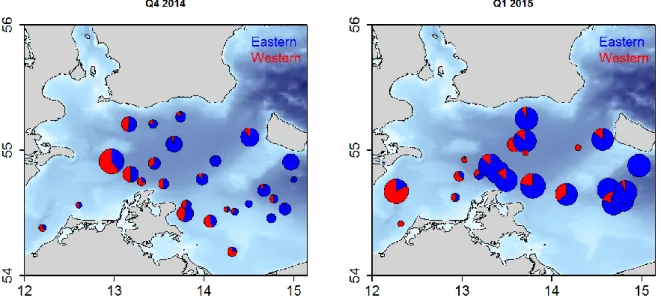 Figure 4.1 Proportions of eastern (blue) and western (red) cod in SD24 before (left) and after  (right) the major Baltic inflow in December 2014