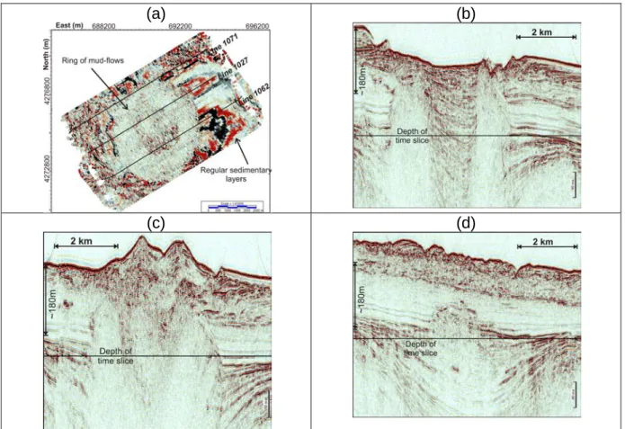 Figure 1:  First glimpse of  the pseudo-3D  analyses    generated  from 84  parallel lines acquired across Venere mud volcano: (a) time slice at 2.32 seconds  (two-way time) through the pseudo-3D data volume showing a ring of low-amplitude  mud-flows sharp