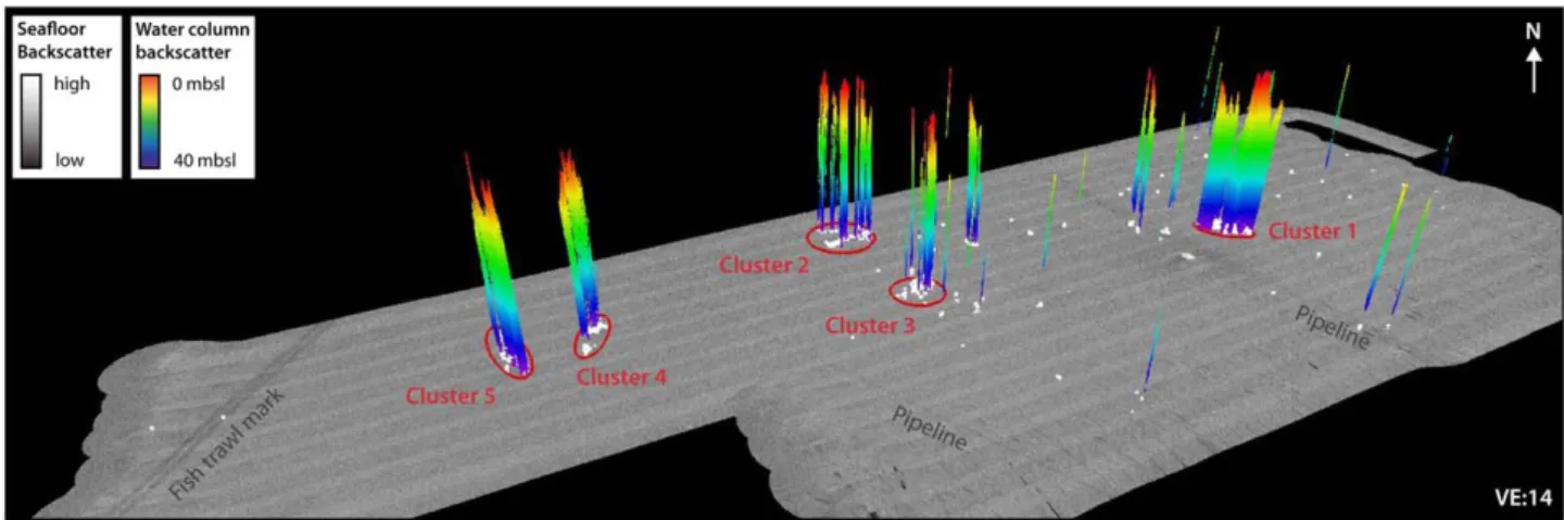 Figure 2. Three-dimensional illustration of extracted ﬂares mapped during survey 19 in 2016 (HE-459) together with the seaﬂoor backscatter