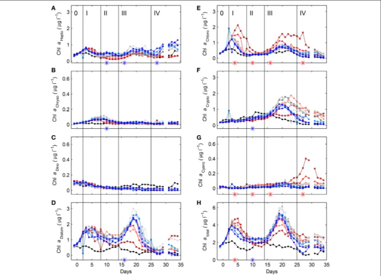 FIGURE 4 | Temporal dynamics of depth-integrated (0–23 m) contributions to Chla by haptophytes (A), chrysophytes (B), dinoflagellates (C), diatoms (D), chlorophytes (E), cryptophytes (F), and cyanobacteria (G) inside the fjord and the mesocosms, as determi