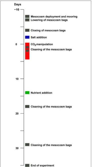 FIGURE 1 | Timeline of major experimental events. The mesocosm deployment and mooring on day -8 was on April 30, and the end of the experiment on June 7, day 35