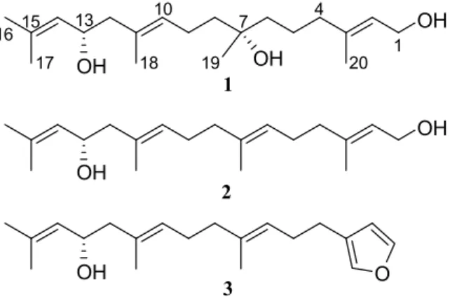 Figure 1. Structure of compounds (1–3) obtained from  B. bifurcata.