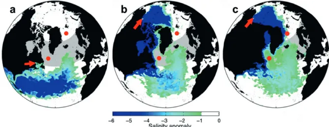 Abb. 8: Modellierergebnisse von c ondron  &amp; W insor  (2012), die den Effekt eines Süßwasserausstroms zu Beginn der Jüngeren Dryas auf den Salzgehalt and der  Meeresoberfläche darstellen