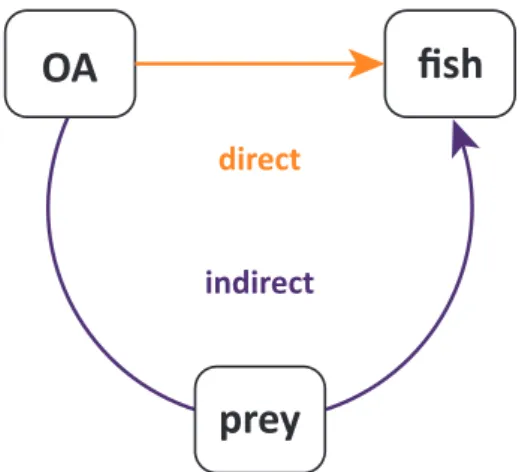 Figure 1.5: Conceptual figure on the direct, physiological and indirect, food web (prey) effects of ocean acidification (OA) on fish larvae (fish).