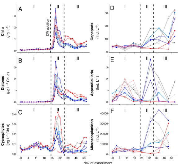 Figure 3.1: Development of (A) chlorophyll a concentrations. (B) abundances of diatoms, and (C) abundances of cyanophytes