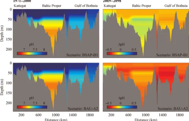 Figure 1.4. Current pH (1971-2000) and scenario pH changes (2069-2098) along  a Baltic Sea transect for two scenarios