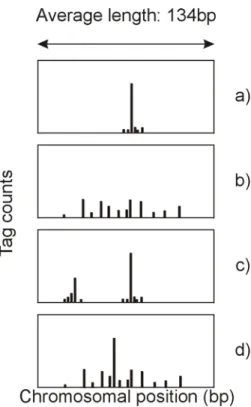 Figure 2: The four promoter categories based on their TSS distribution 