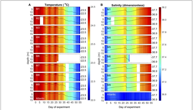 FIGURE 4 | Vertical profiles of temperature (A) and salinity (B) in the mesocosms (M1–M9) and the surrounding Atlantic over the course of the study