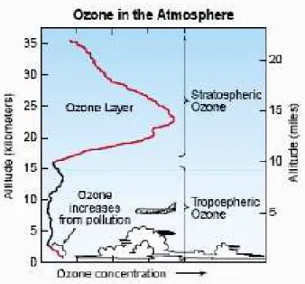 Figure 2.1: Distribution of ozone in the atmosphere. More than 90% of the ozone is located within the stratosphere, acting as a protection shield against harmful UV-B radiation coming from the sun.
