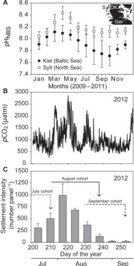 Fig. 1. Habitat carbonate system variability and juvenile settlement. (A) Aver- Aver-aged monthly pH values recorded from 2009 to 2011 in the habitats of the two tested populations