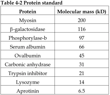 Table 4-2 Protein standard 