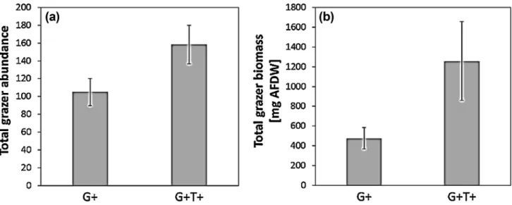 Fig. 3    Display (mean ± CI) of the total grazer abundance (a) and the total grazer biomass (mg AFDW without shell) (b) in ambient (+G) and  high temperature (+G+T) treatments
