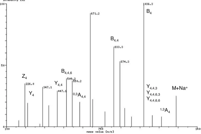 Abbildung 21: Bezeichnung der Fragmente mittels der Linkage-Information in einem Massenspektrum eines Kohlenhydrats