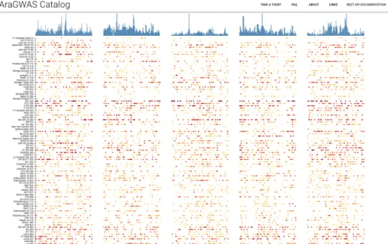 Figure 2.5: AraGWAS Catalog GWAS HitMap, containing a snapshot overview of all asso- asso-ciated hits reported in the Catalog