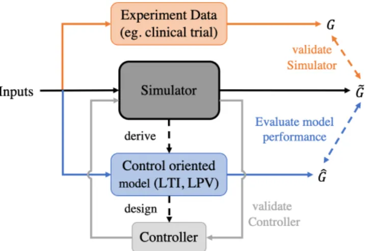 Figure 1.3: Overall concept that leads to controller design. First of all, a complex simulation model is created, secondly, it is validated through clinical data