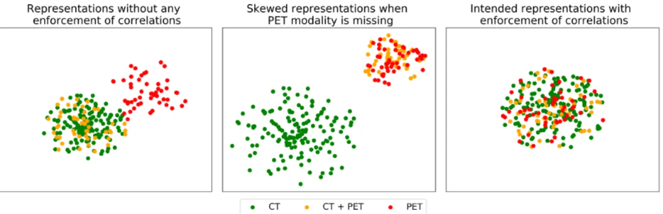 Figure 2.8: (a) PET and CT representations when no explicit correlations are enforced while training a model.