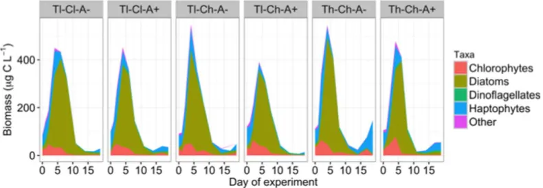 Fig. 4. Phytoplankton growth rates and carbon uptake. (a) Growth rates measured as 13 C-DIC uptake into phospholipid-derived fatty acids for dia- dia-toms, dinophyceae, and chlorophytes during the bloom initiation, separated by temperature and pCO 2 treatm