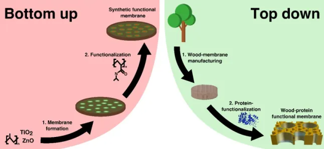 Figure 9: Schematic comparison of two routes towards functional membranes. The left side depicts  the traditional bottom-up synthesis approach