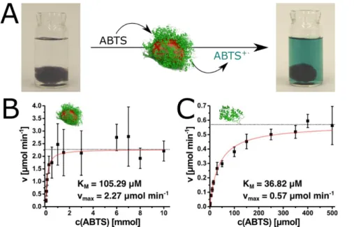 Figure  3:  (A)  Photographs  of  cellulose@Au@Lac  in the  reaction  solution.  The color  change  is  caused by the oxidation of ABTS and shows that the immobilized enzyme is catalytically active