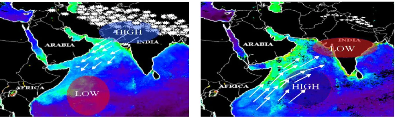Fig. 2: The South Asian (Indian) monsoon system of the northern Indian Ocean (NE monsoon, during winter  months, left; SW monsoon during summer months, right)