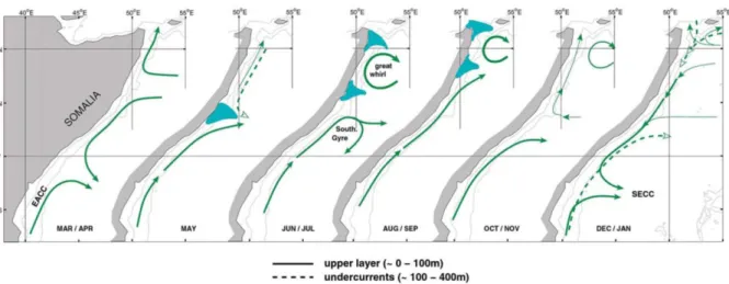 Fig. 6: Schematic of the greater Agulhas system embedded in the Southern Hemisphere super gyre  (Beal et al., 2011)