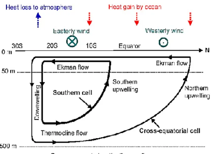 Fig. 7: Schematic diagram of the zonal and time-mean meridional overturning circulation of  the upper Indian Ocean that consists of STC and CEC