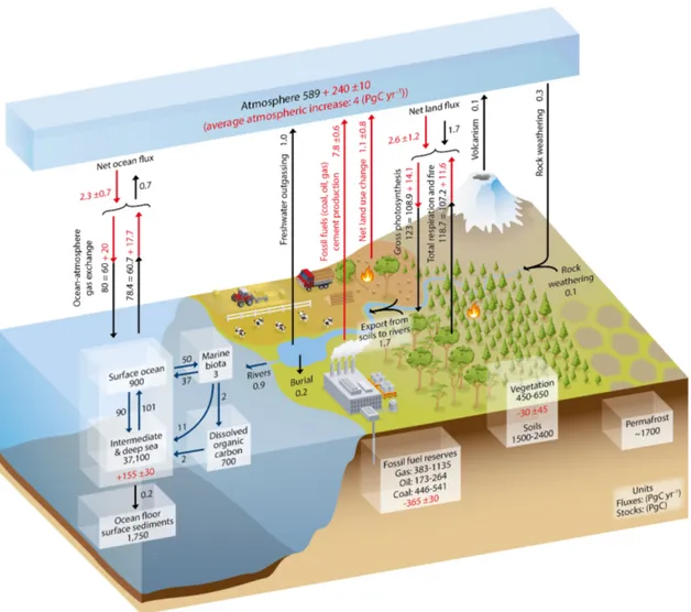 Figure 1.2: The global carbon cycle and the size of its reservoirs and annual uxes.