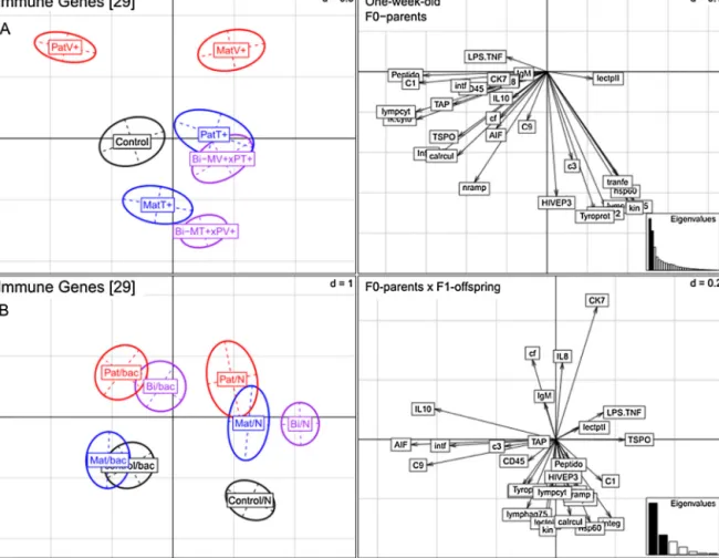 Fig. 1. Immune gene expression of one-week-old Syngnathus typhle F1-juveniles (N = 420)